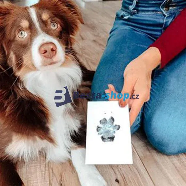 Sada na otisk tlapky - malá